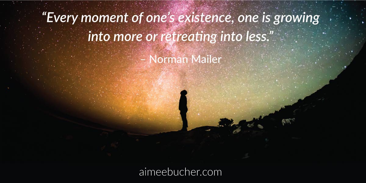 “Every moment of one’s existence, one is growing into more or retreating into less.” ―Norman Mailer