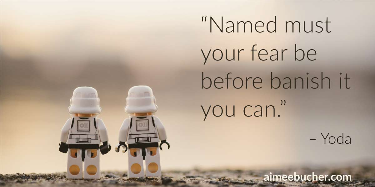 “Named must your fear be before banish it you can.” — Yoda